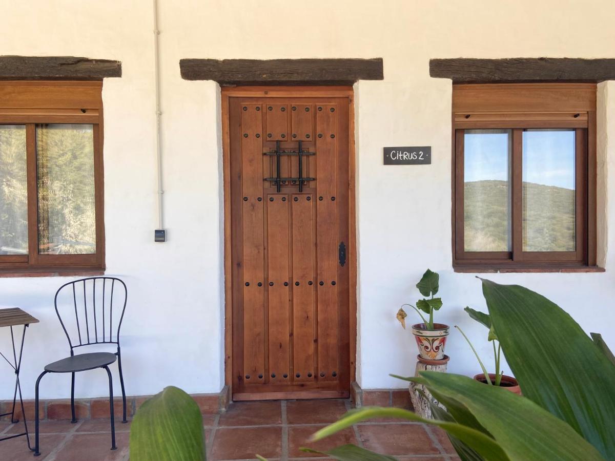 The Wild Olive Andalucia Citrus Suite Casares Eksteriør bilde