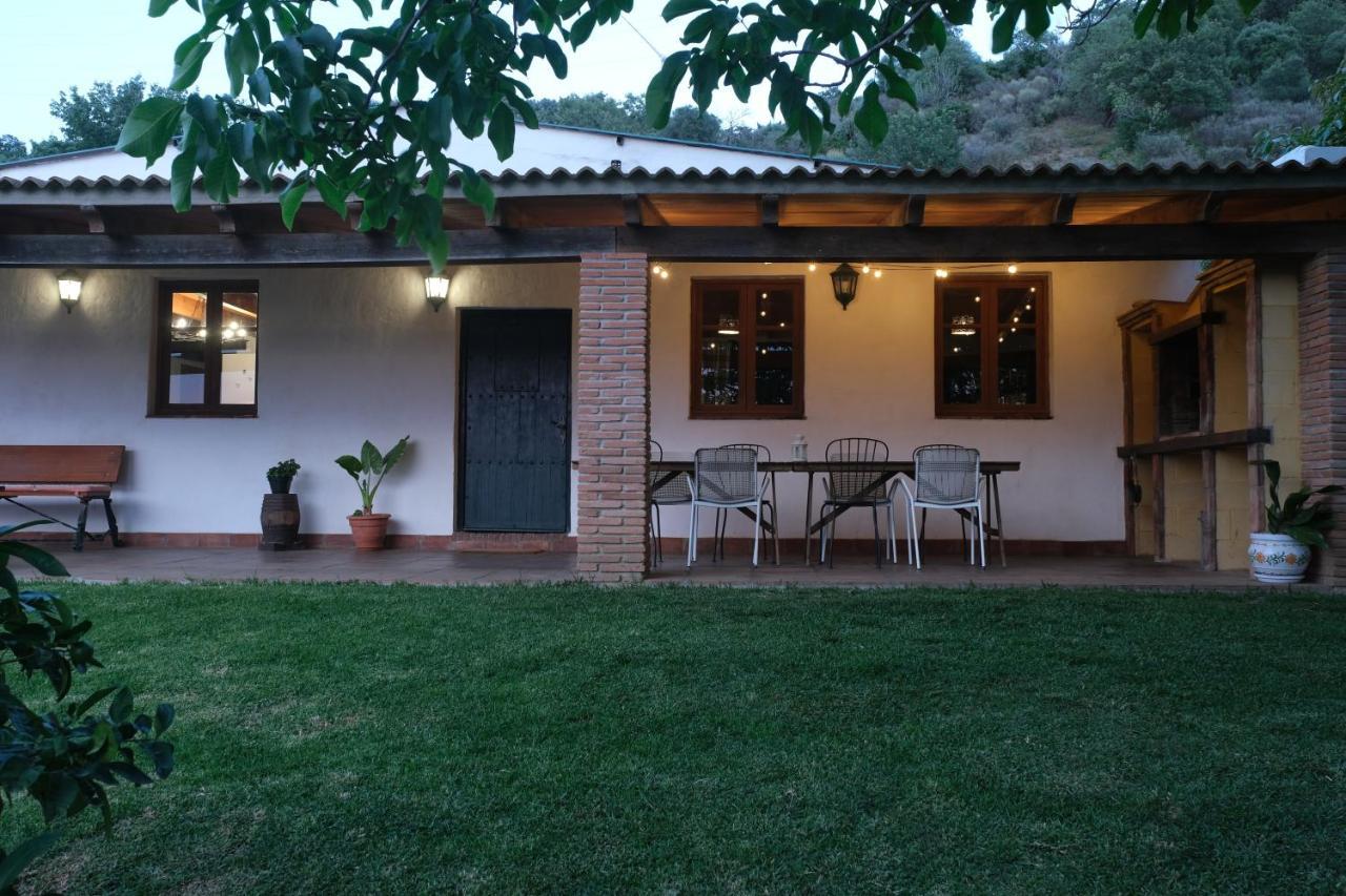 The Wild Olive Andalucia Citrus Suite Casares Eksteriør bilde